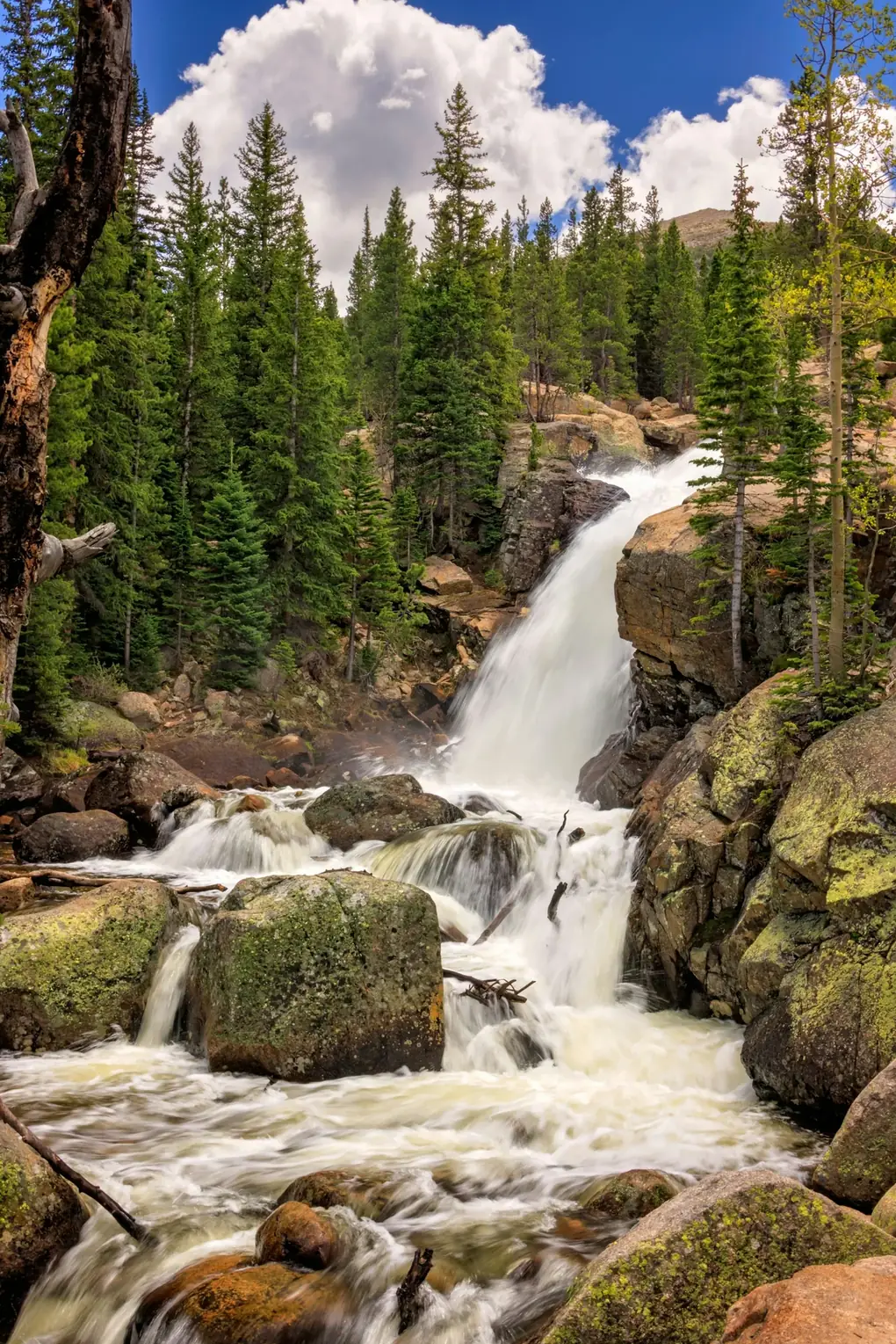 A waterfall cascading over rocks among evergreen trees. This photograph illustrates a scenic trail outing.